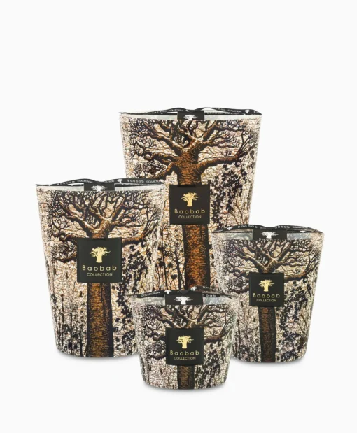 Baobab Kaars Max 16 Sacred Trees Morondo Diversen*Lifestyle Lifestyle