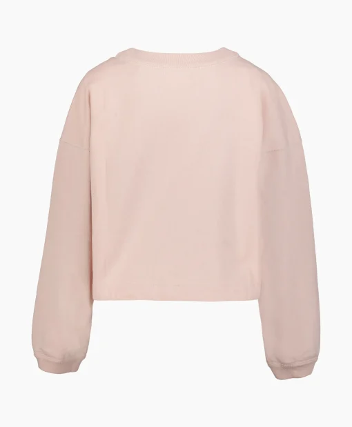 Marant Étoile Marant Etoile Pullover Margo Pink*Dames Truien